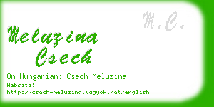 meluzina csech business card